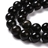 Natural Astrophyllite Beads Strands G-A202-01C-4