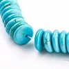 Natural Magnesite Heishi Beads Strands TURQ-G102-03A-3