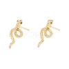 Green Cubic Zirconia Snake Stud Earrings EJEW-F282-25G-3