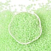 6/0 Luminous Glass Seed Beads X1-SEED-NH0001-01K-3