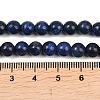Dyed Natural Lapis Lazuli Round Beads Strands G-M169-6mm-05-5