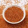 Cylinder Seed Beads X-SEED-H001-G10-3