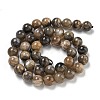 Natural Black Moonstone Beads Strands G-Q183-A01-02-3
