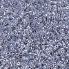 MIYUKI Delica Beads X-SEED-J020-DB0242-3