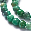 Natural Variscite Bead Strands G-G-P444-01A-4