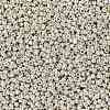 12/0 Electroplate Glass Seed Beads SEED-Q003-S-2