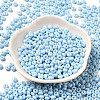 Baking Paint Glass Seed Beads SEED-B001-02A-08-2