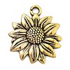 Alloy Pendants PALLOY-Q365-01AG-1
