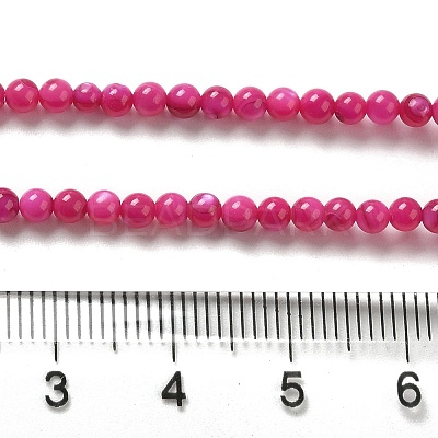 Natural Freshwater Shell Beads Strands SHEL-H003-03F-1