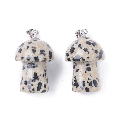 Natural Dalmatian Jasper Pendants G-M380-B09-P-1