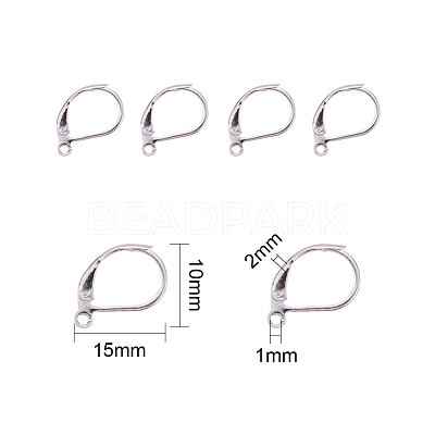 304 Stainless Steel Leverback Earring Findings STAS-L190-14S-1