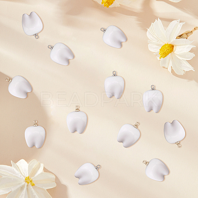 20Pcs 2 Colors Opaque Resin Pendants RESI-SC0006-94-1
