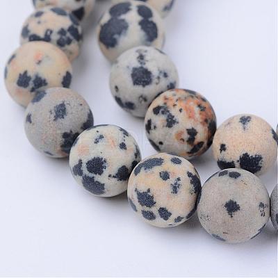 Natural Dalmatian Jasper Beads Strands G-Q462-6mm-05-1
