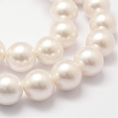 Shell Pearl Bead Strands BSHE-L026-03-16mm-1