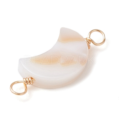 2Pcs 2 Styles Natural Freshwater Shell Connector Charms PALLOY-JF02440-02-1