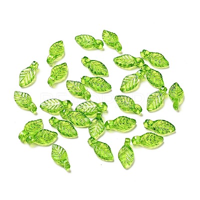 Transparent Acrylic Charms MACR-C009-12-1