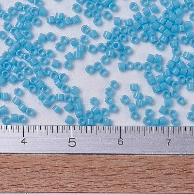MIYUKI Delica Beads X-SEED-J020-DB0725-1