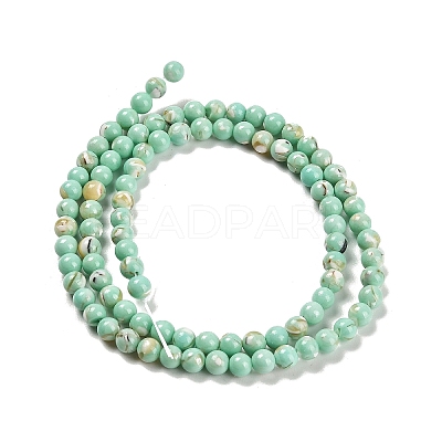 Assembled Synthetic Stone and Trochus Shell Beads Strands G-B128-08A-02-1