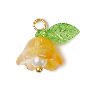 9Pcs 9 Colors Glass Charms PALLOY-MZ00838-1