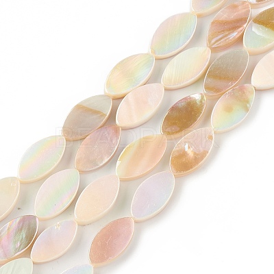 Natural Freshwater Shell Beads Strands X-SHEL-T009-22-1
