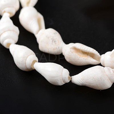 Natural Sea Shell Conch Bead Strands X-BSHE-O009-06-1