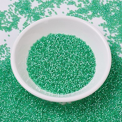 MIYUKI Delica Beads SEED-J020-DB0691-1