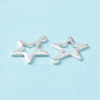 304 Stainless Steel Charms STAS-L234-095S-1