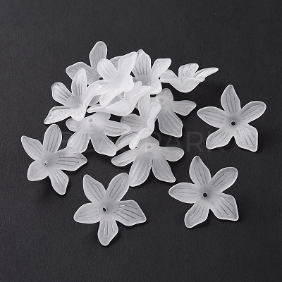 5-Petal Transparent Acrylic Bead Caps OACR-A017-15-1