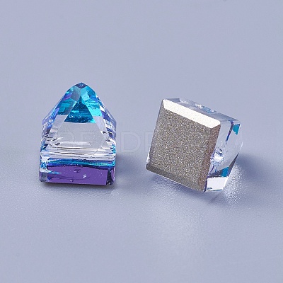 Flat Back K9 Glass Rhinestone Charms RGLA-F062-B-1