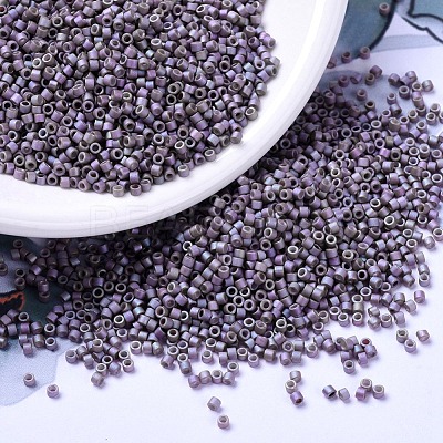 MIYUKI Delica Beads SEED-X0054-DB1065-1