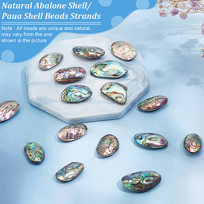 1 Strand Natural Abalone Shell/Paua Shell Beads Strands BSHE-BC0001-16-1