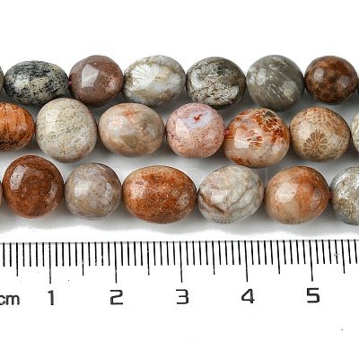 Natural Fossil Coral Beads Strands G-G117-A01-02-1