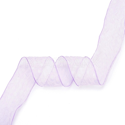20 Yards Polyester Mesh Ribbon SRIB-P021-E01-1