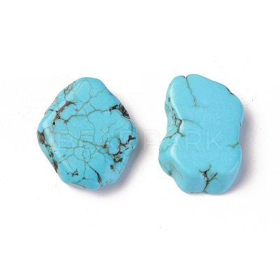 Natural Magnesite Beads TURQ-L031-002-1