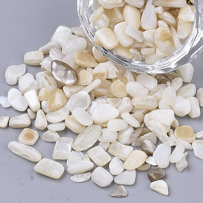 Freshwater Shell Beads X-SHEL-S266-11-1