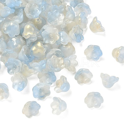 Transparent Glass Beads Caps X-GLAA-B028-01K-1