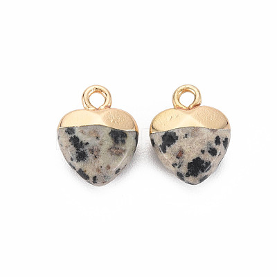 Natural Dalmatian Jasper Charms G-N326-121-01-1