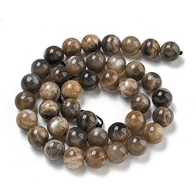 Natural Black Moonstone Beads Strands G-Q183-A01-02-1
