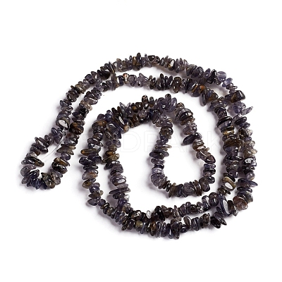 Natural Iolite Beads Strands G-D0002-C48-1