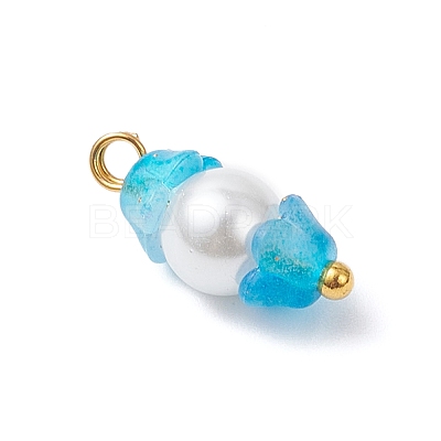 Baking Paint Pearlized Glass Imitation Pearl Pendants PALLOY-JF04300-02-1