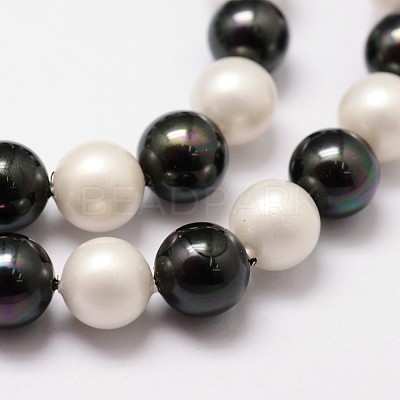 Polished Shell Pearl Bead Strands BSHE-F013-07C-1