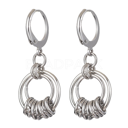 304 Stainless Steel Leverback Earrings for Women EJEW-JE05530-1