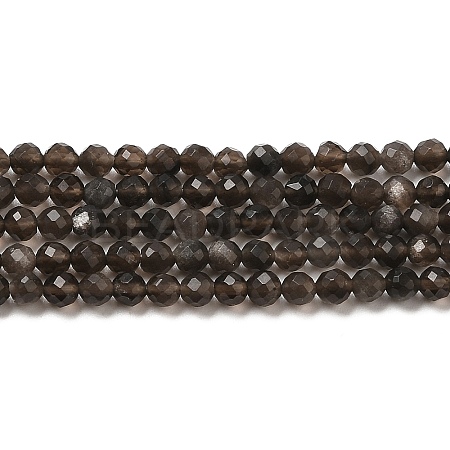 Natural Silver Sheen Obsidian Beads Strands G-E608-A02-B-1