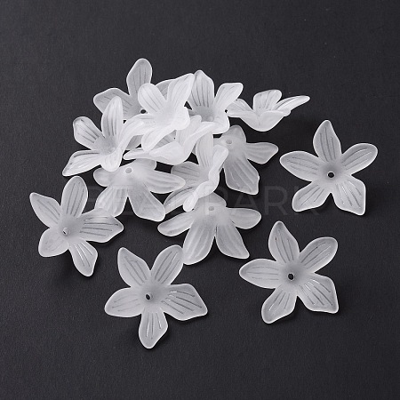 5-Petal Transparent Acrylic Bead Caps OACR-A017-15-1