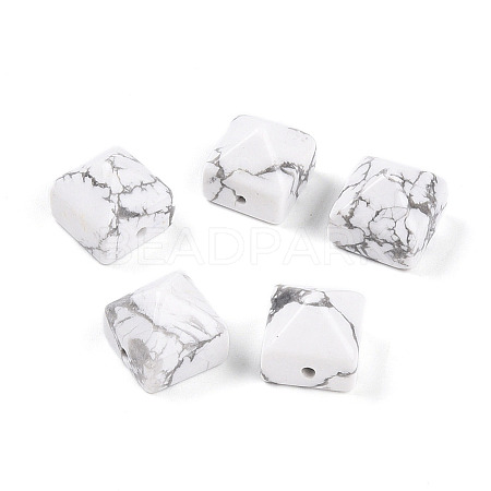 Natural Howlite Beads G-N345-02A-09-1