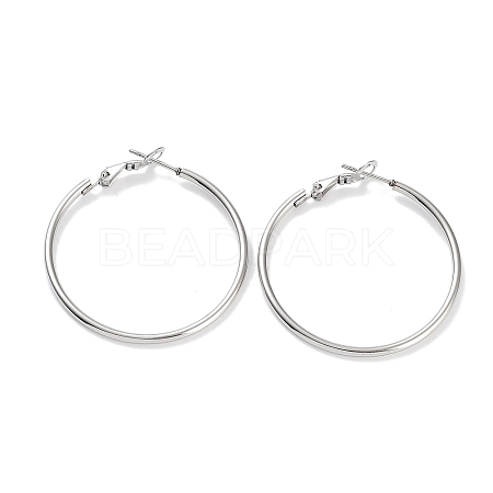 Non-Tarnish Ring 304 Stainless Steel Hoop Earrings for Women Men EJEW-B049-02D-P-1