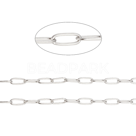 Tarnish Resistant 304 Stainless Steel Paperclip Chains CHS-F010-01I-P-1