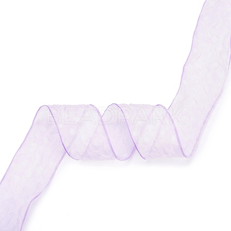 20 Yards Polyester Mesh Ribbon SRIB-P021-E01-1