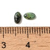 Natural African Turquoise(Jasper) Cabochons G-F772-01A-14-3