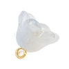12Pcs 12 Colors Transparent Glass Charm PALLOY-JF04460-5